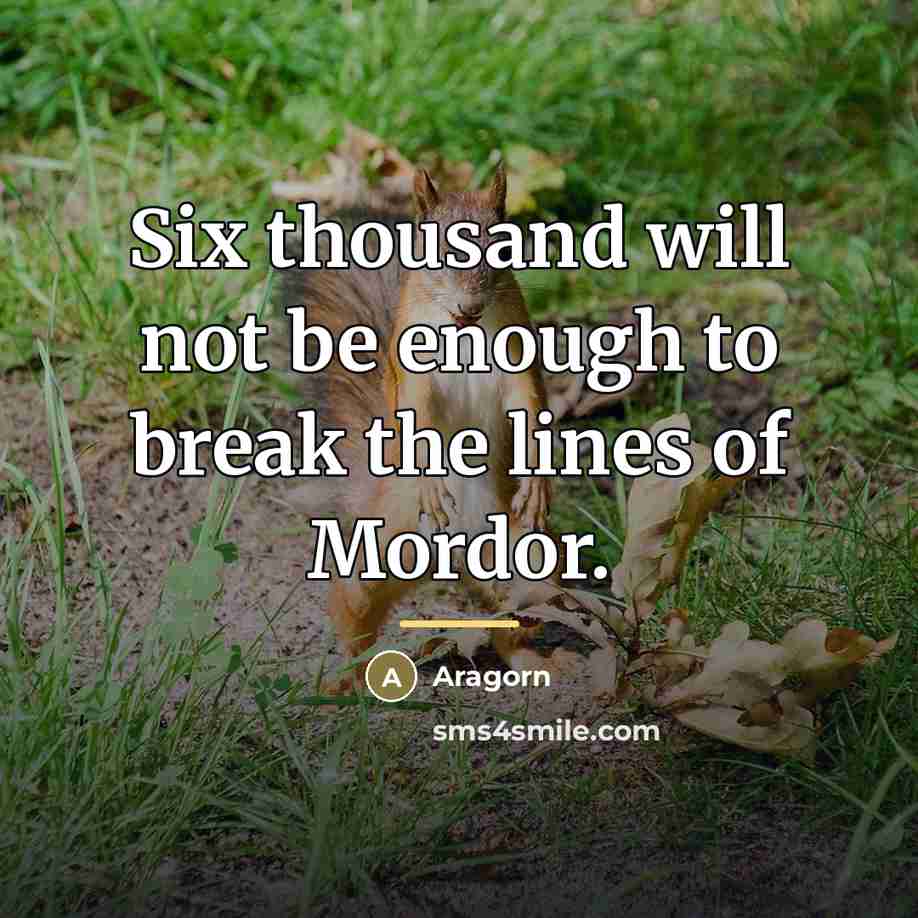 “Six thousand will not be enough to break the lines…” quote by Aragorn