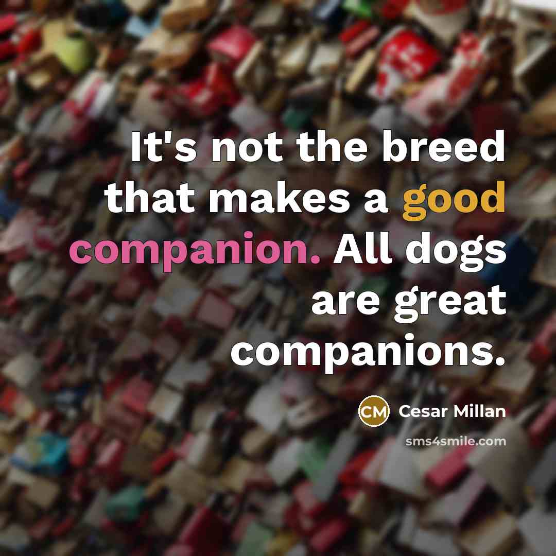 “It's not the breed that makes a good companion. All…” quote by Cesar Millan