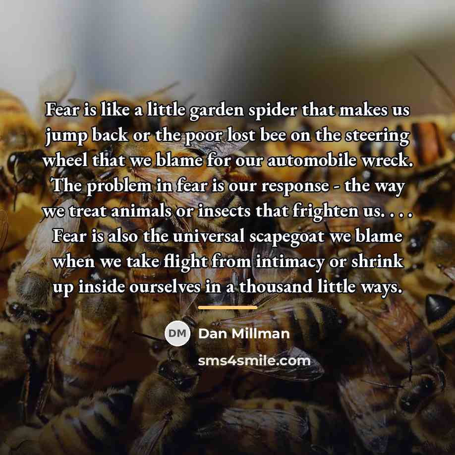 “Fear is like a little garden spider that makes us…” quote by Dan Millman