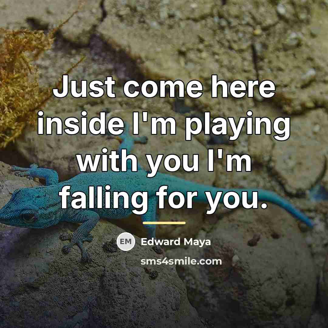 “Just come here inside I'm playing with you I'm falling…” quote by Edward Maya