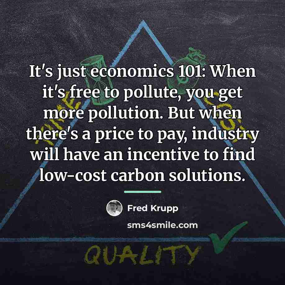 “It's just economics 101: When it's free to pollute, you…” quote by Fred Krupp