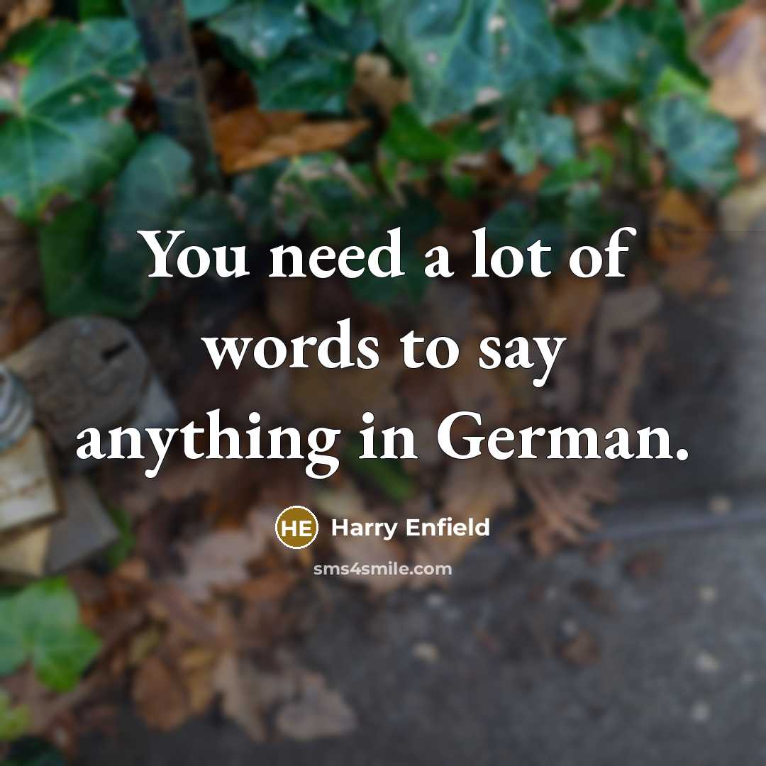 “You need a lot of words to say anything in…” quote by Harry Enfield
