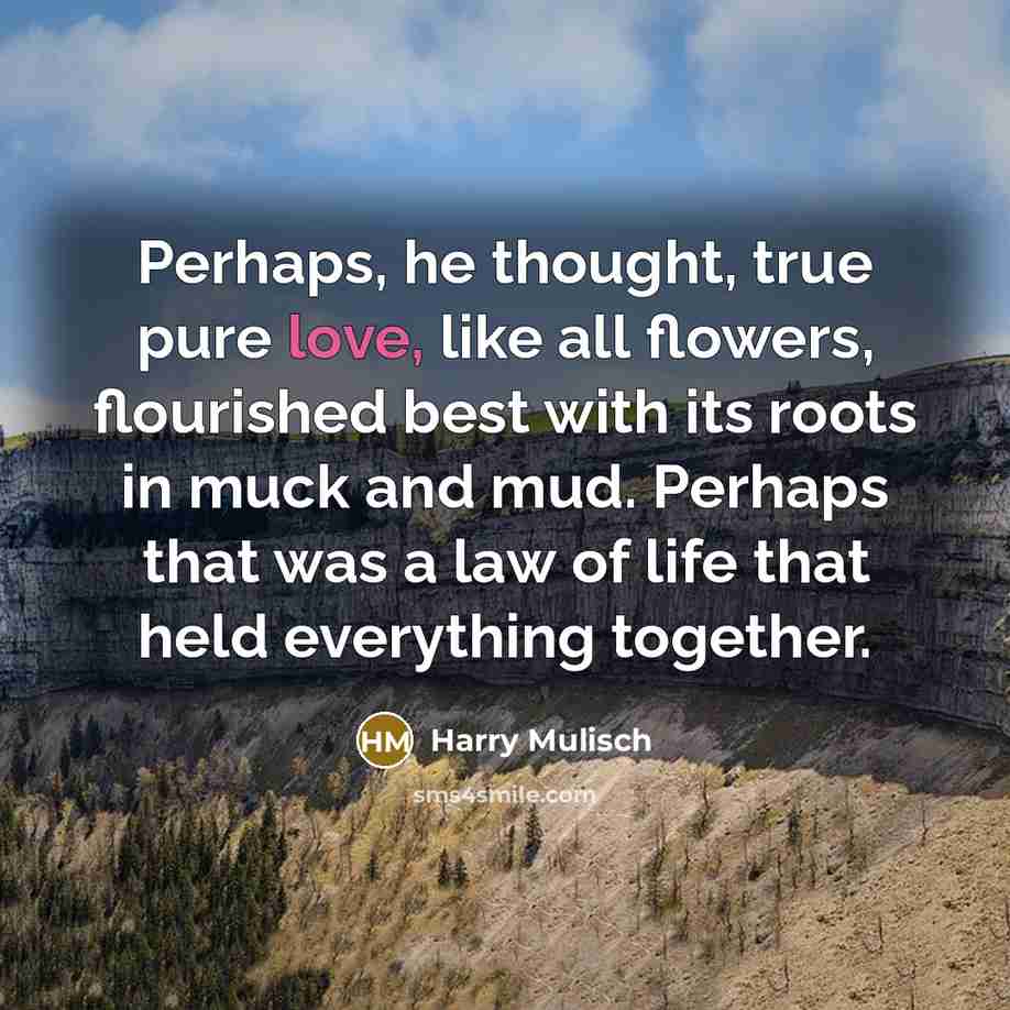 “Perhaps, he thought, true pure love, like all flowers, flourished…” quote by Harry Mulisch