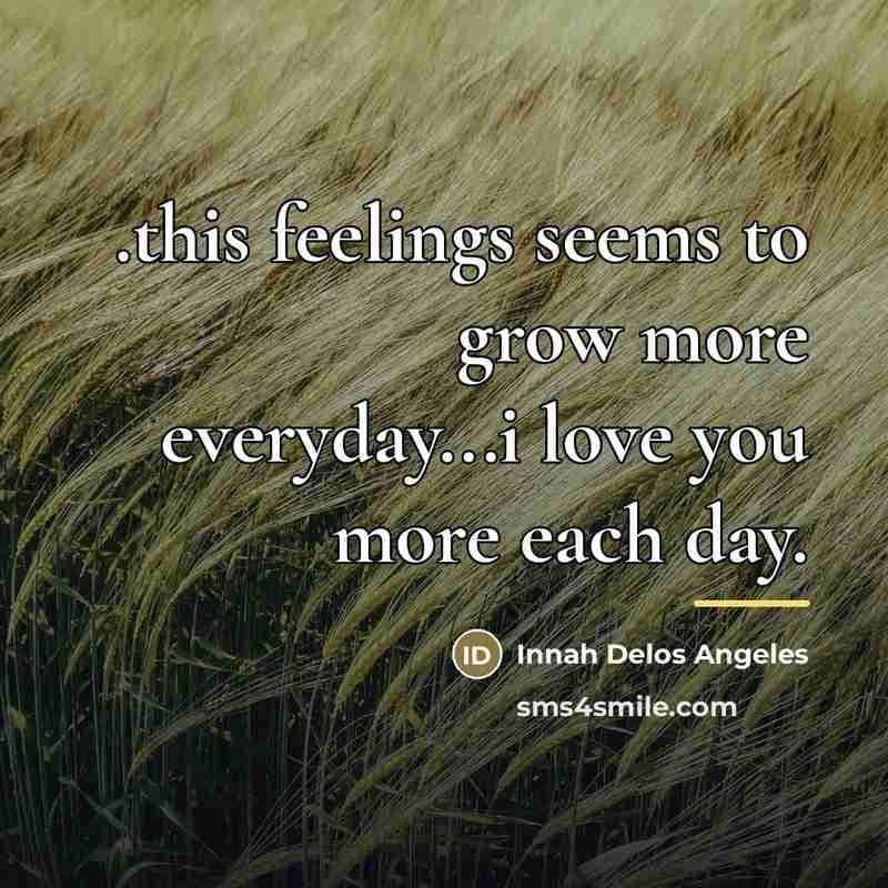 “.this feelings seems to grow more everyday...i love you more…” quote by Innah Delos Angeles