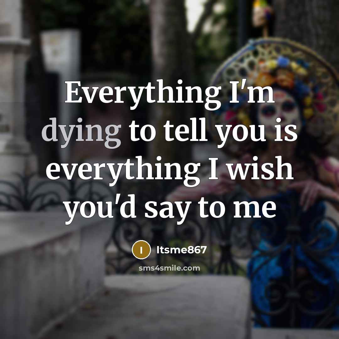 “Everything I'm dying to tell you is everything I wish…” quote by Itsme867