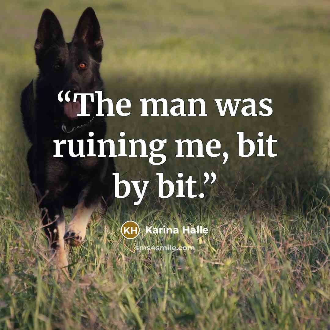 “The man was ruining me, bit by bit.” quote by Karina Halle