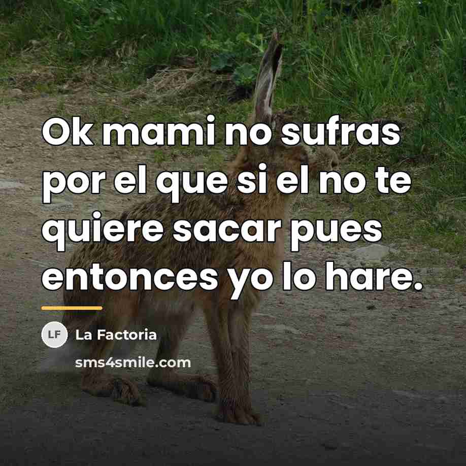 “Ok mami no sufras por el que si el no…” quote by La Factoria