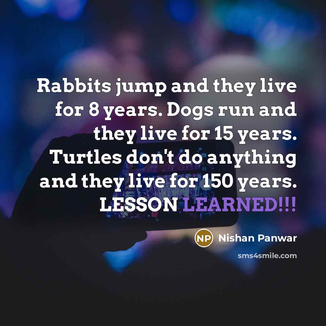 “Rabbits jump and they live for 8 years. Dogs run…” quote by Nishan Panwar