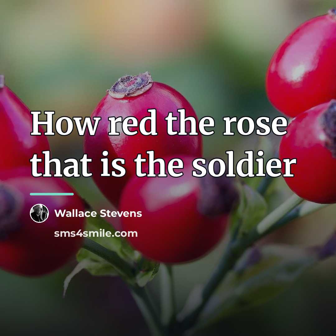 “How red the rose that is the soldier…” quote by Wallace Stevens