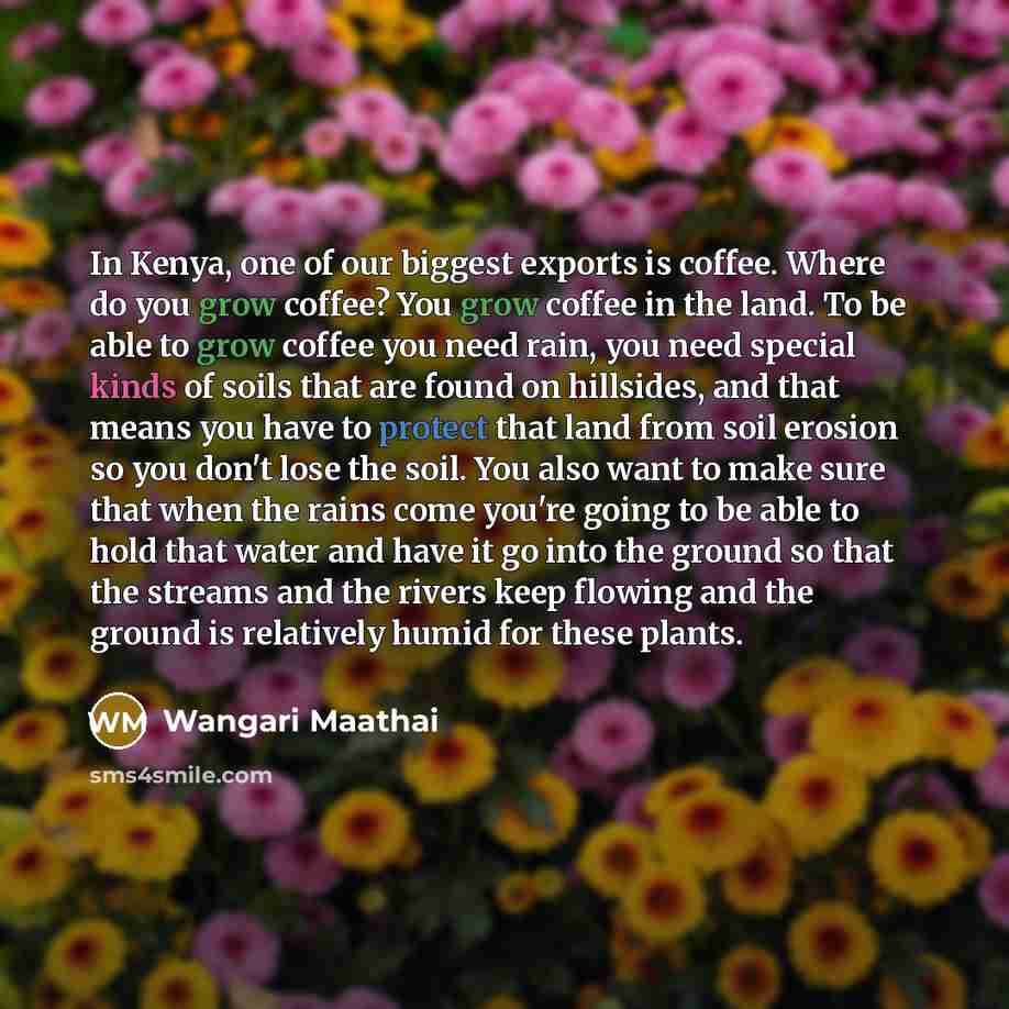 “In Kenya, one of our biggest exports is coffee. Where…” quote by Wangari Maathai