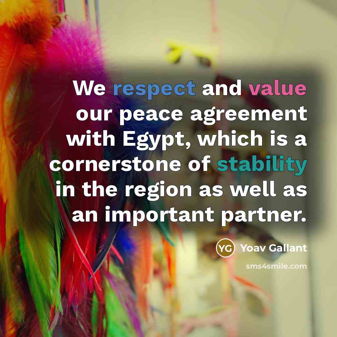 “We respect and value our peace agreement with Egypt, which…” quote by Yoav Gallant