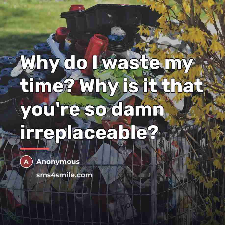 “Why do I waste my time? Why is it that…” quote by Anonymous