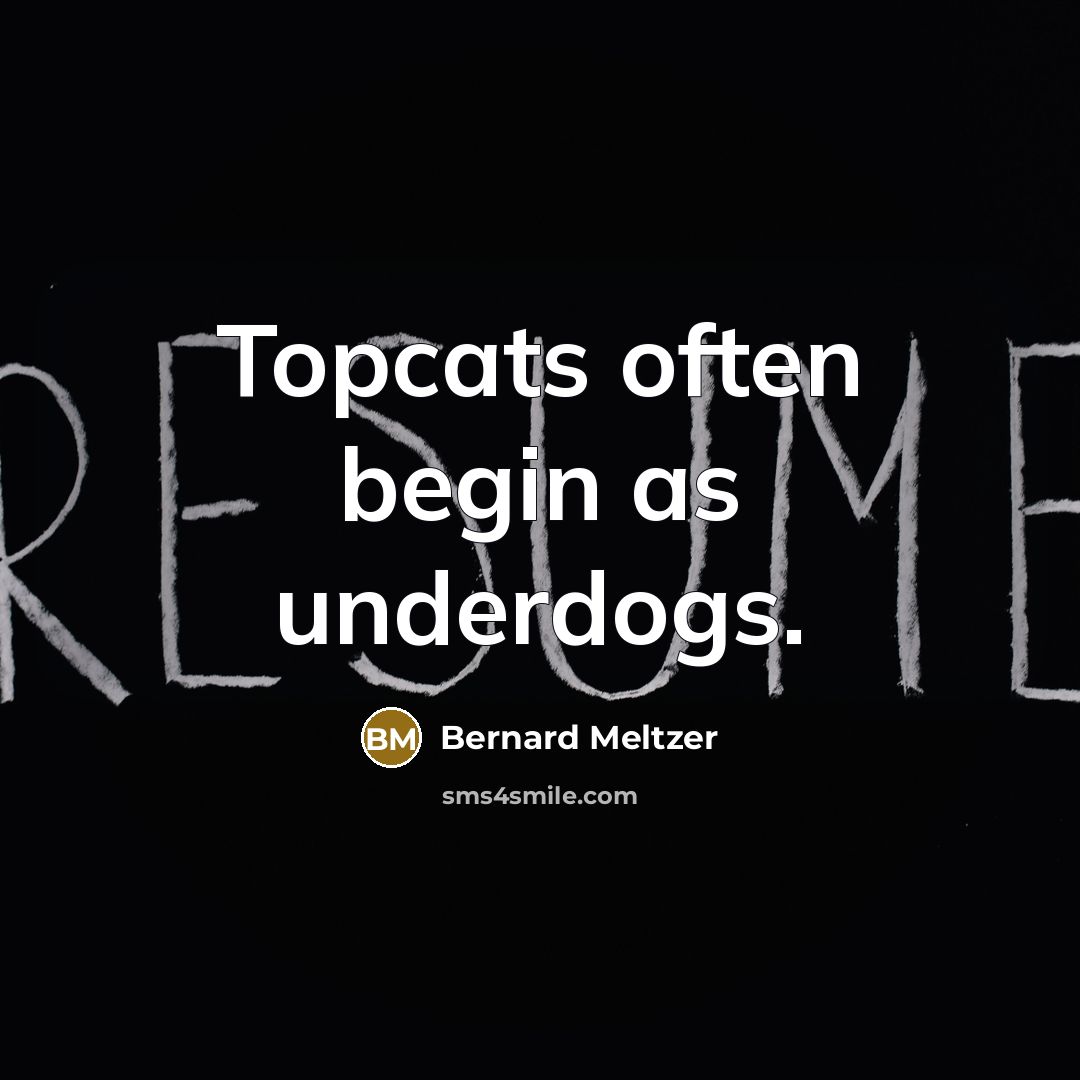 “Topcats often begin as underdogs.…” quote by Bernard Meltzer
