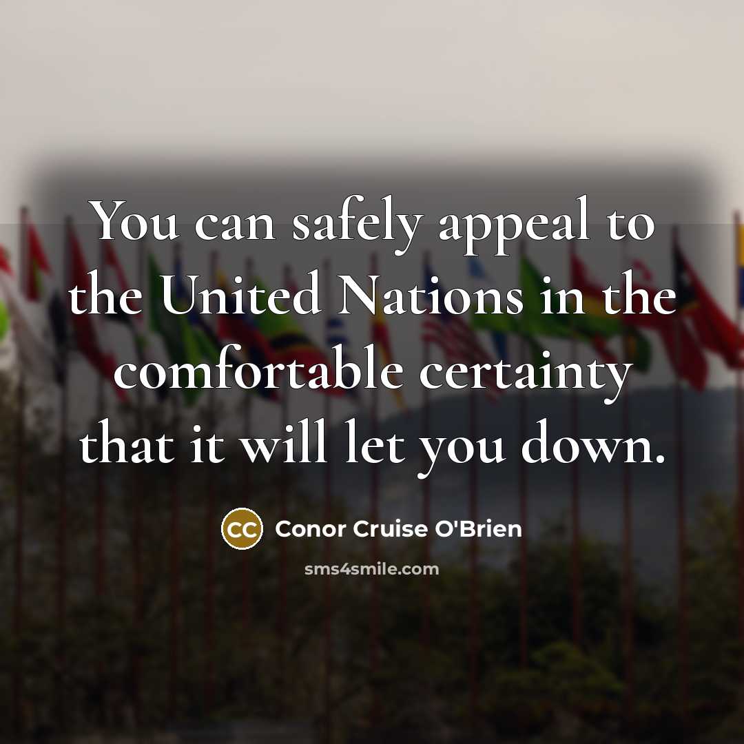 “You can safely appeal to the United Nations in the…” quote by Conor Cruise O'Brien