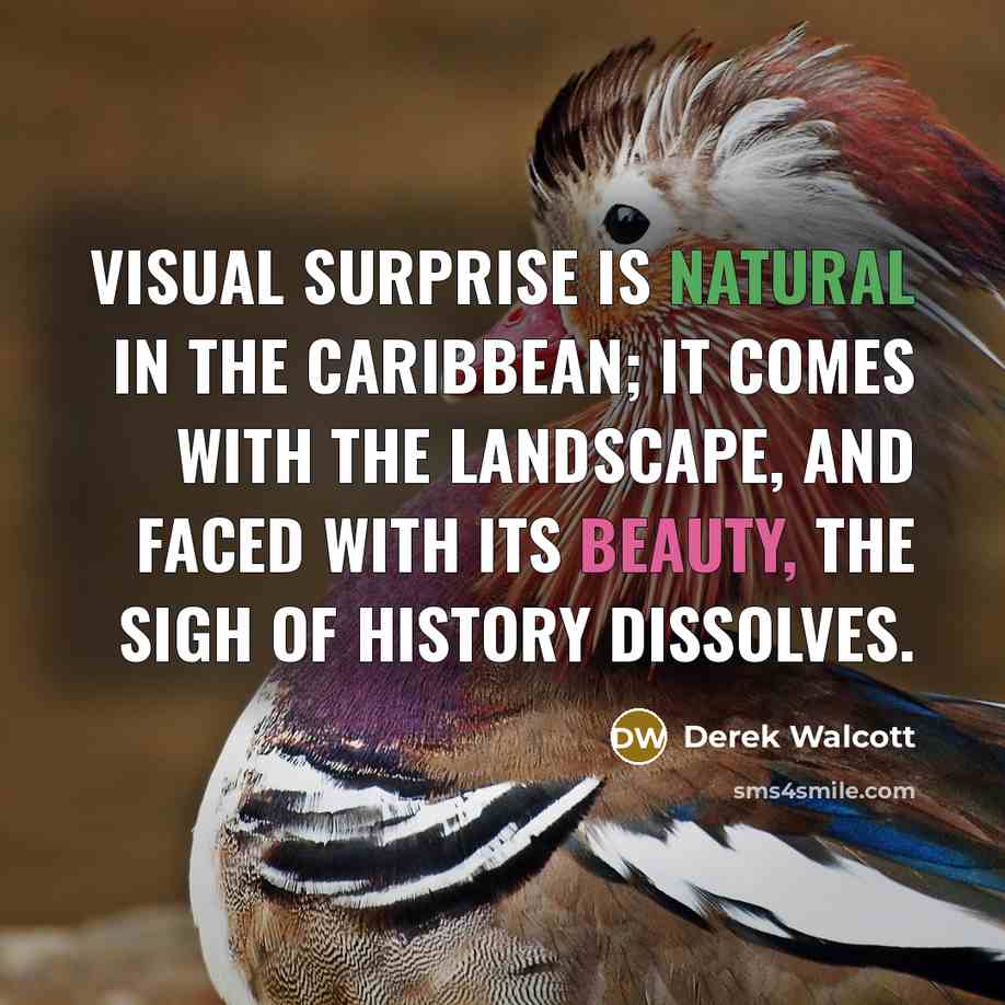 “Visual surprise is natural in the Caribbean; it comes with…” quote by Derek Walcott