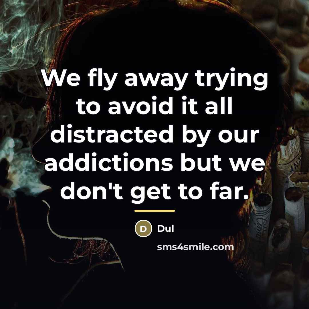 “We fly away trying to avoid it all distracted by…” quote by Dul