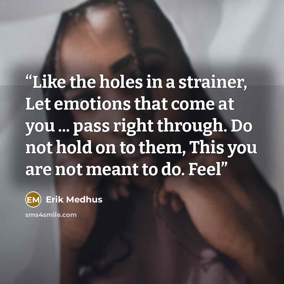 “Like the holes in a strainer, Let emotions that come at you ... pass right through. Do not hold on to them, This you are not meant to do. Feel” quote by Erik Medhus