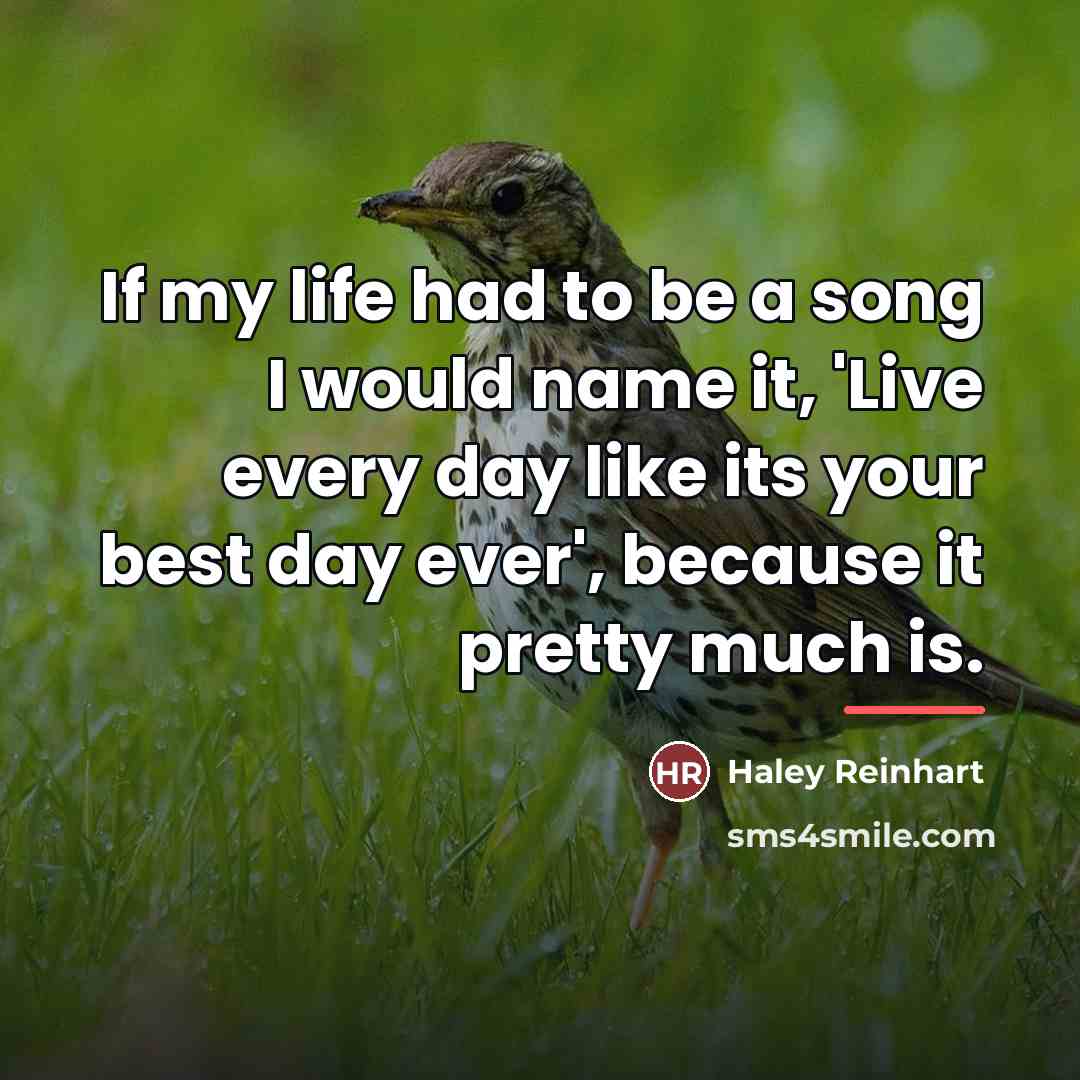 “If my life had to be a song I would…” quote by Haley Reinhart