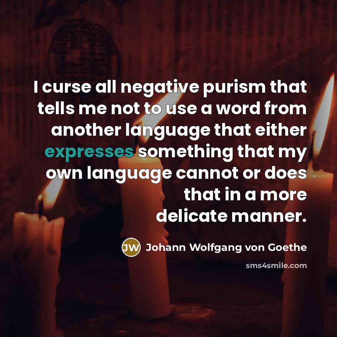 “I curse all negative purism that tells me not to…” quote by Johann Wolfgang von Goethe