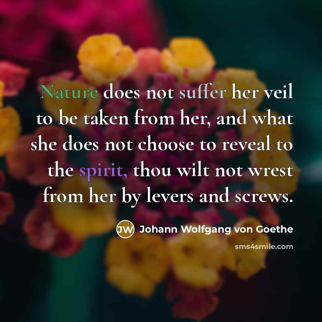 “Nature does not suffer her veil to be taken from…” quote by Johann Wolfgang von Goethe