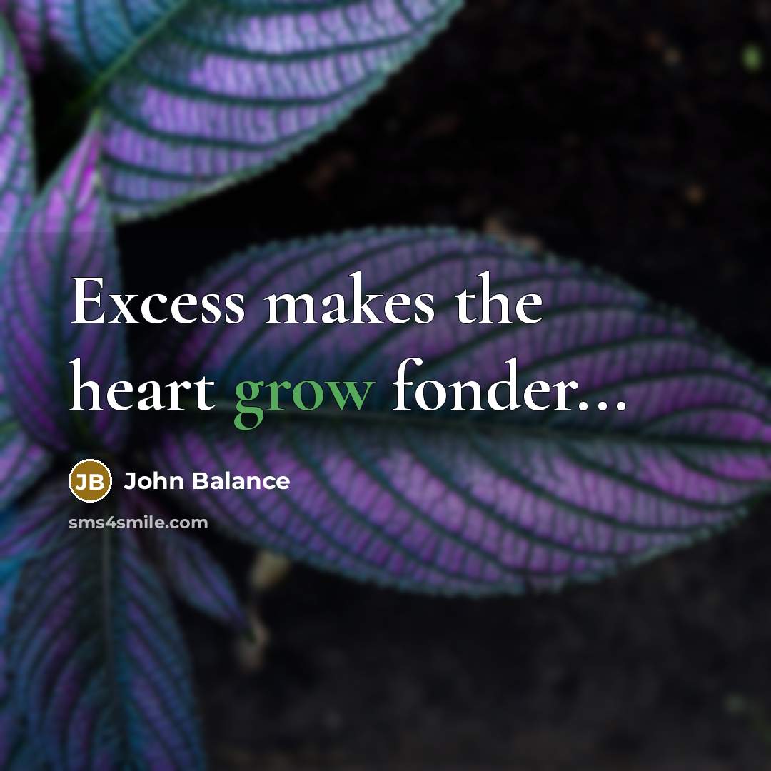 “Excess makes the heart grow fonder...…” quote by John Balance