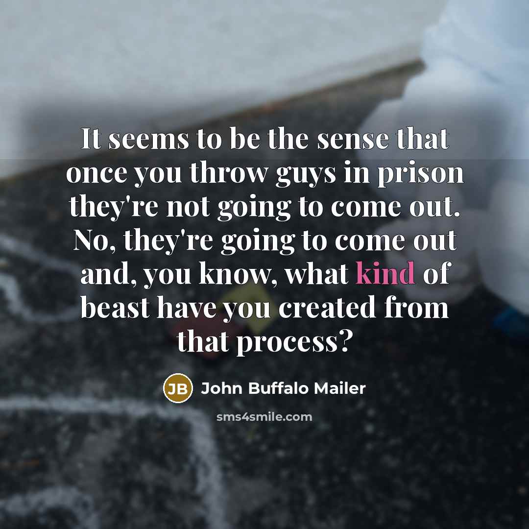 “It seems to be the sense that once you throw…” quote by John Buffalo Mailer