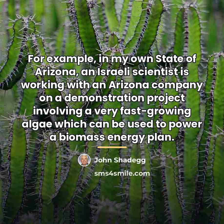 “For example, in my own State of Arizona, an Israeli…” quote by John Shadegg