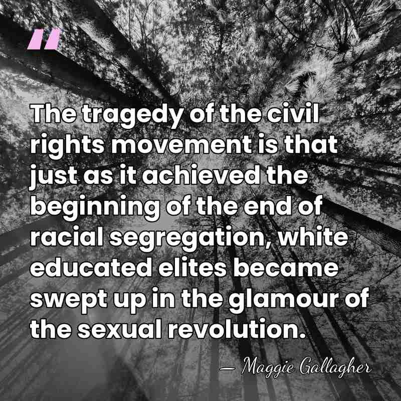 The tragedy of the civil rights movement is that just as it&hellip; - Maggie Gallagher