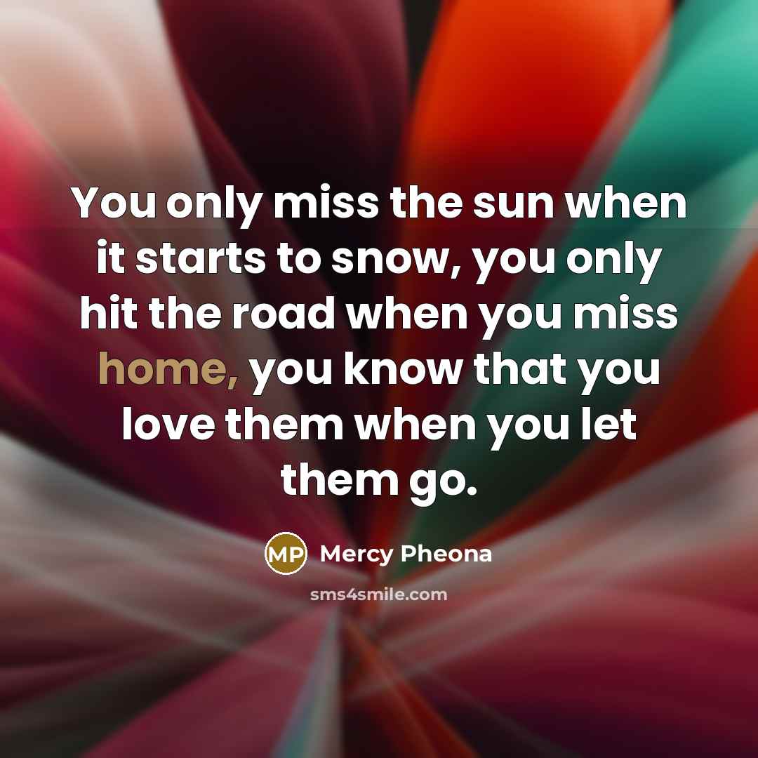 “You only miss the sun when it starts to snow,…” quote by Mercy Pheona