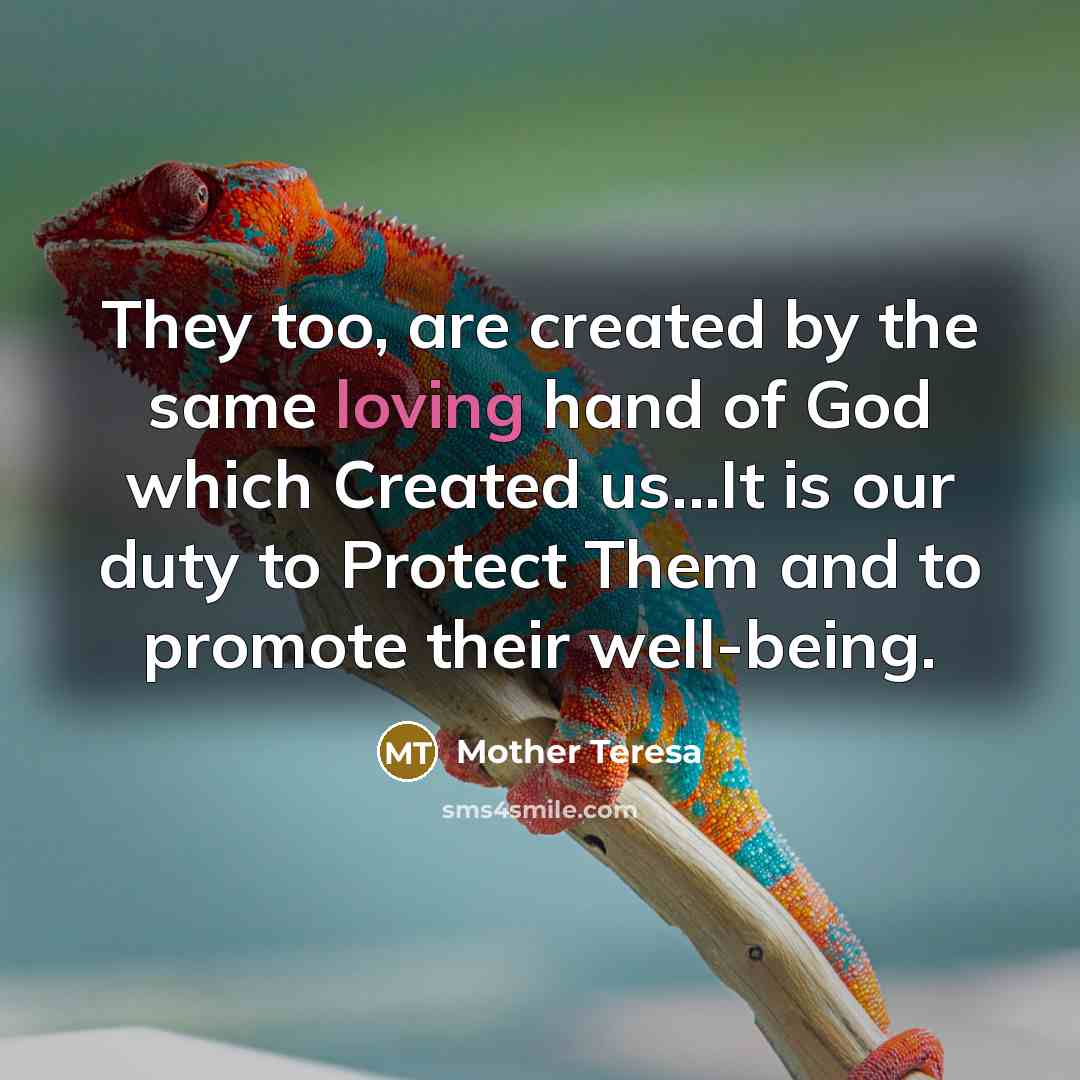 “They too, are created by the same loving hand of…” quote by Mother Teresa