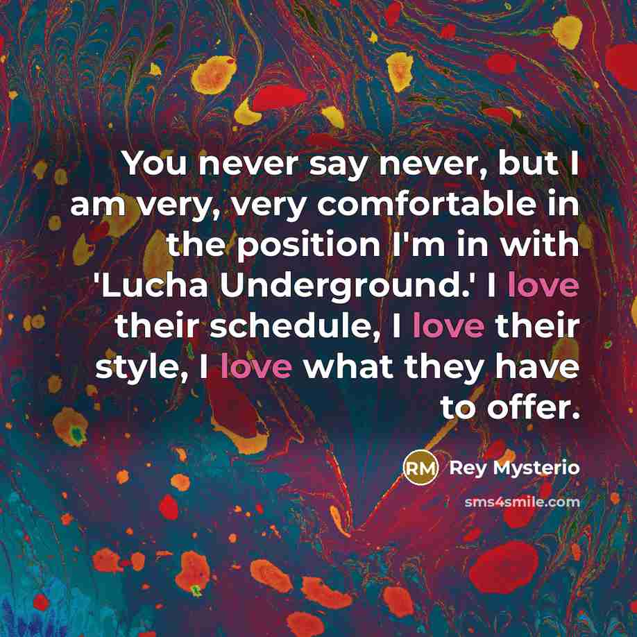 “You never say never, but I am very, very comfortable…” quote by Rey Mysterio