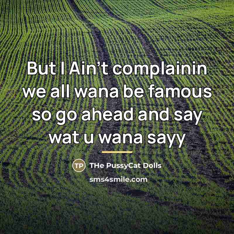 “But I Ain't complainin we all wana be famous so…” quote by Anonymous