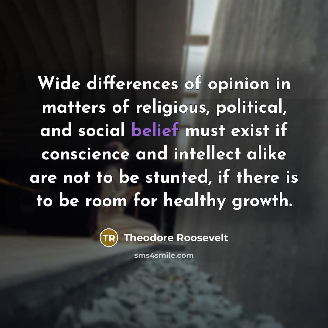 “Wide differences of opinion in matters of religious, political, and…” quote by Theodore Roosevelt