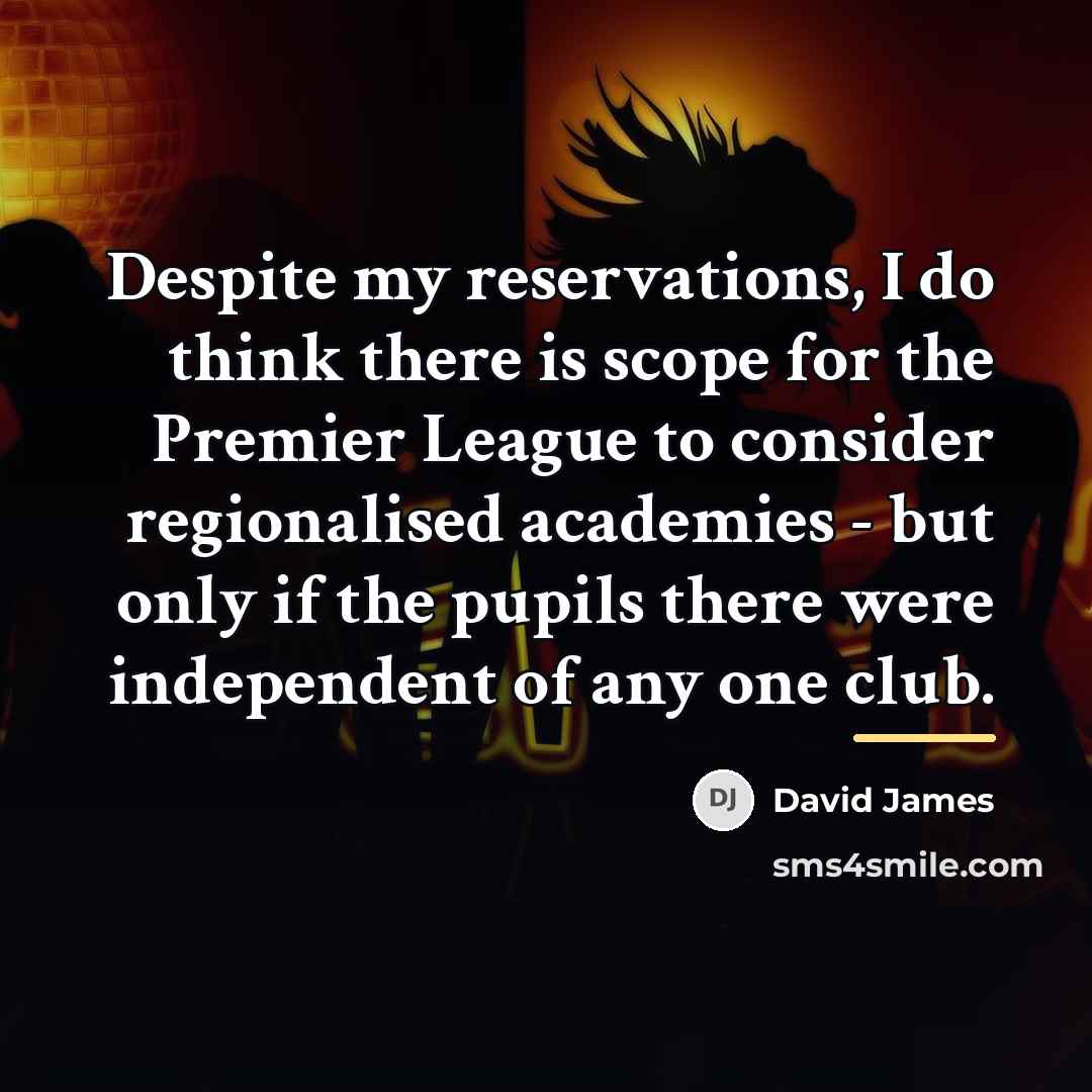 “Despite my reservations, I do think there is scope for…” quote by David James