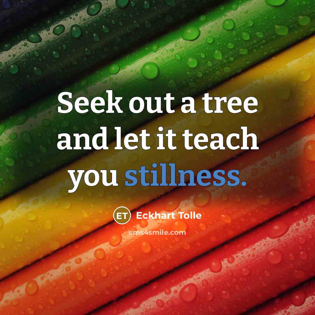 “Seek out a tree and let it teach you stillness.…” quote by Eckhart Tolle
