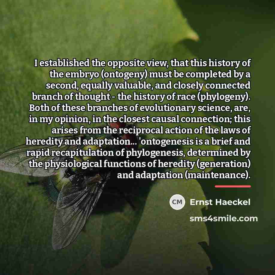 “I established the opposite view, that this history of the…” quote by Ernst Haeckel