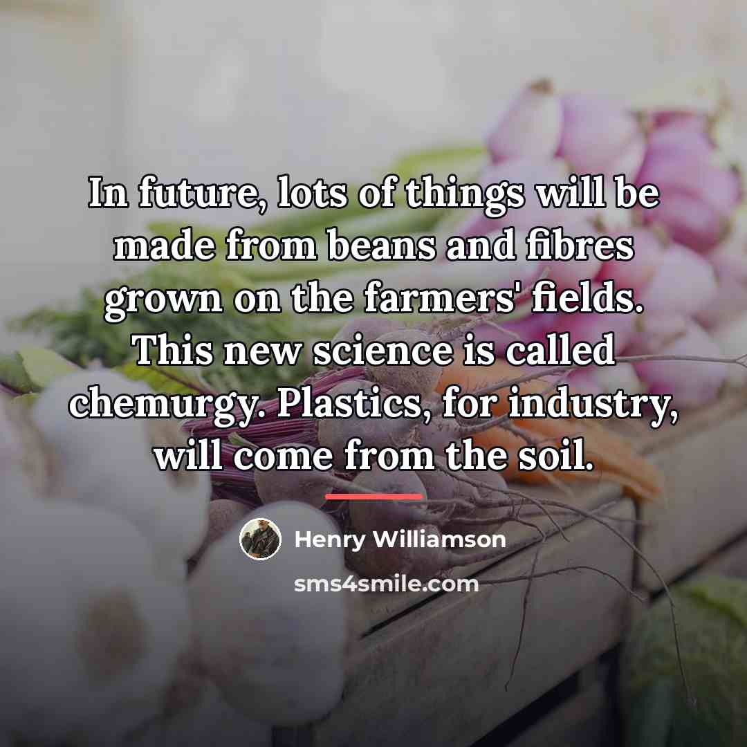 “In future, lots of things will be made from beans…” quote by Henry Williamson