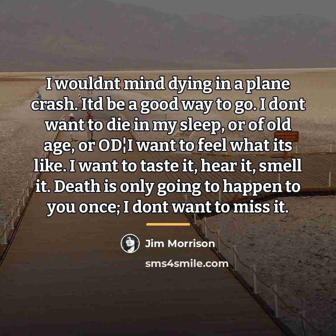 “I wouldnt mind dying in a plane crash. Itd be…” quote by Jim Morrison