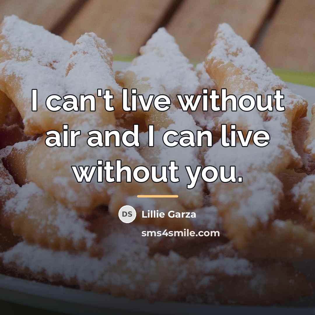 “I can't live without air and I can live without…” quote by Lillie Garza