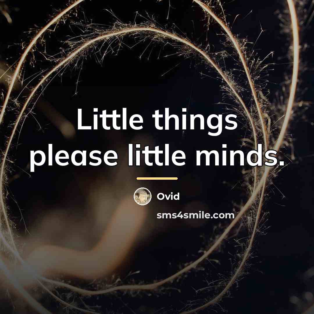 “Little things please little minds.…” quote by Ovid