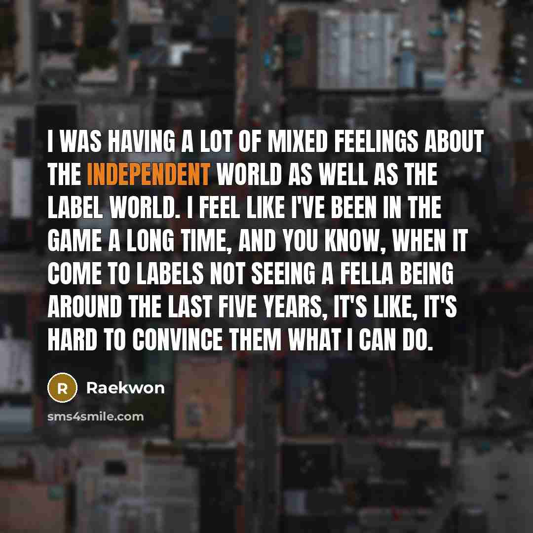 “I was having a lot of mixed feelings about the…” quote by Raekwon