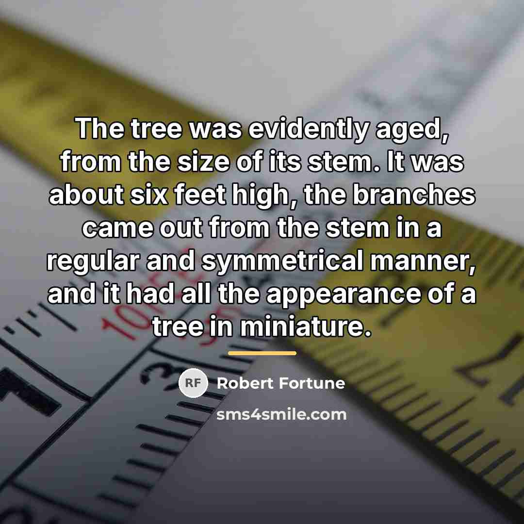 “The tree was evidently aged, from the size of its…” quote by Robert Fortune