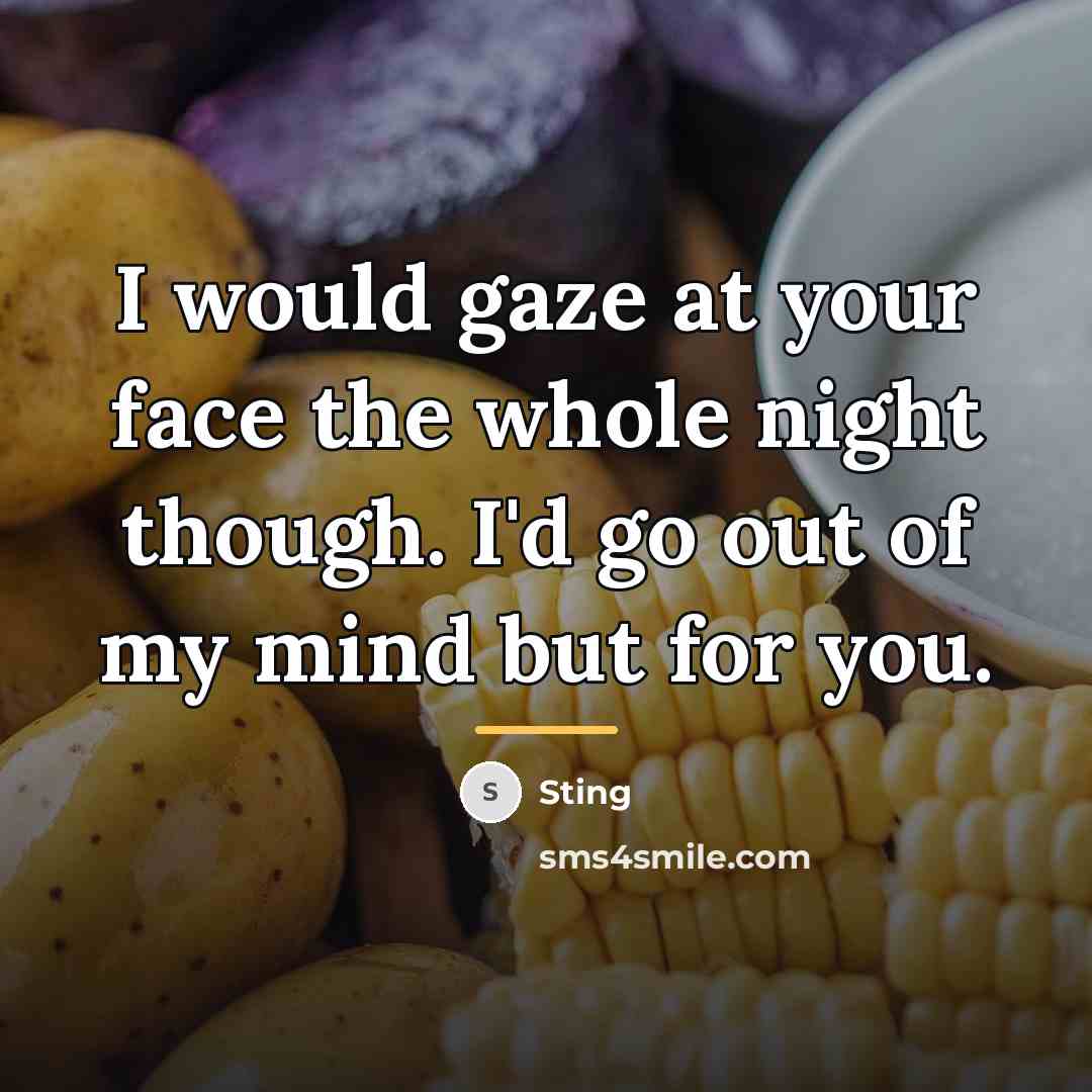 “I would gaze at your face the whole night though.…” quote by Sting