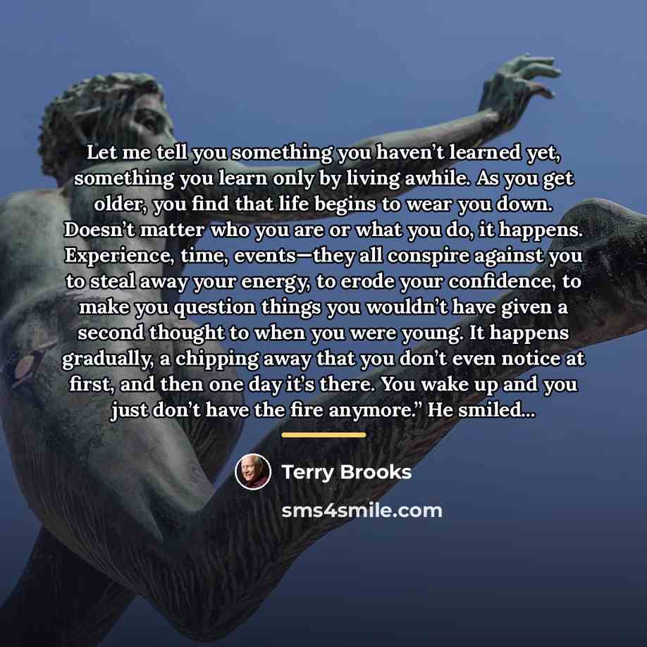 “Let me tell you something you haven’t learned yet, something…” quote by Terry Brooks