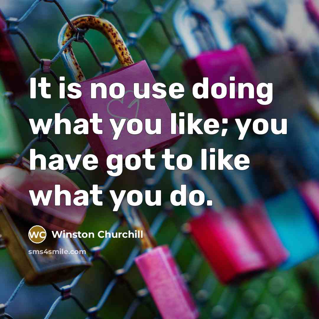 “It is no use doing what you like; you have…” quote by Winston Churchill