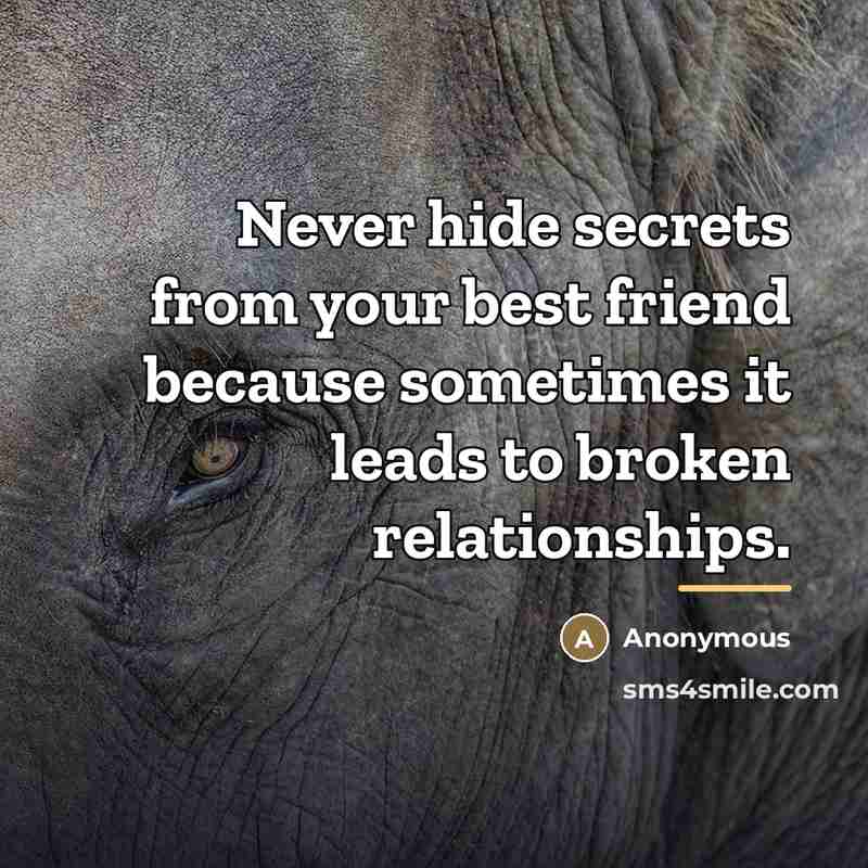 “Never hide secrets from your best friend because sometimes it…” quote by Anonymous