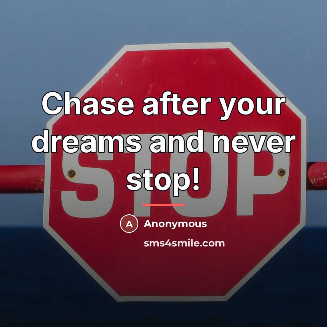 “Chase after your dreams and never stop!…” quote by Anonymous
