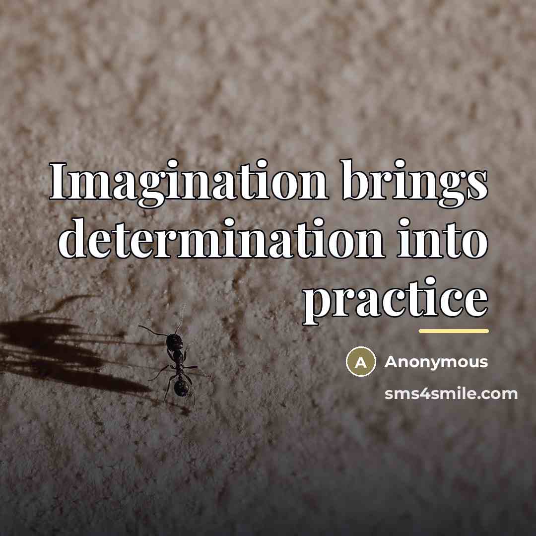 “Imagination brings determination into practice…” quote by Anonymous