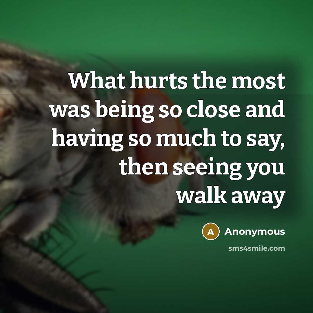 “What hurts the most was being so close and having so much to say, then seeing you walk away” quote by Anonymous