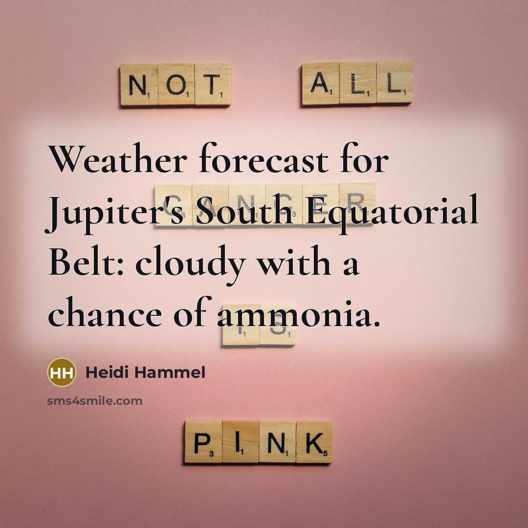 “Weather forecast for Jupiter's South Equatorial Belt: cloudy with a…” quote by Heidi Hammel